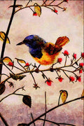 591085 Mourning Warbler A4 Limited Edition Watercolour Print