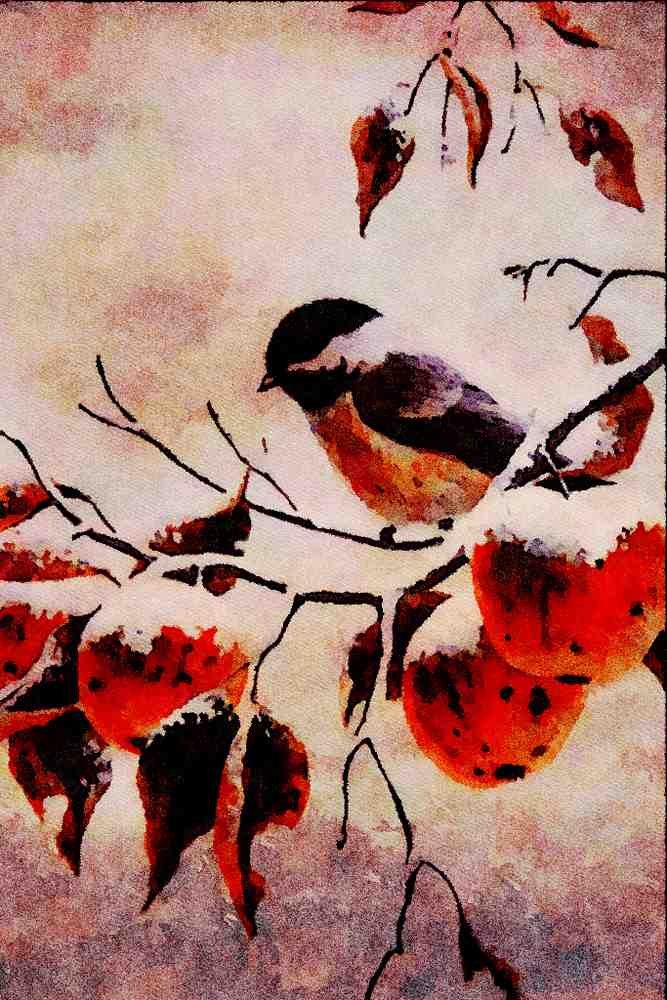 591093 Black capped Chickadee A4 Limited Edition Watercolour Print