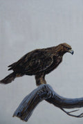 591094 Golden Eagle A4 Photo Print