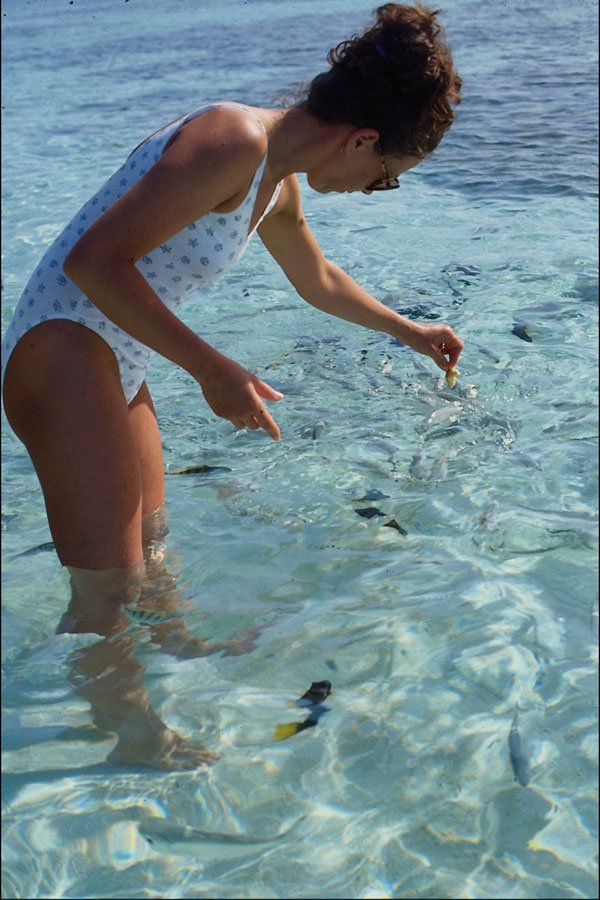 592007 Girl On Tropical Beach A4 Photo Print