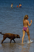 592009 Melmerby Beach, Nova Scotia, Canada A4 Photo Print