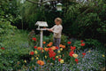 592031 Elizabeth, Norfolk Garden, England A4 Photo Print
