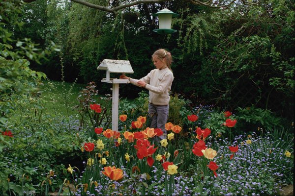 592031 Elizabeth, Norfolk Garden, England A4 Photo Print