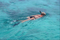 592072 Snorkelers, Bonaire, Netherlands A4 Photo Print