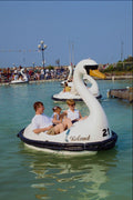 592089 Swan Boats, Bangor, Northern Ireland A4 Photo Print