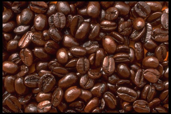 593007 Coffee Beans A4 Photo Print