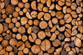 593013 Woodpile A4 Photo Print