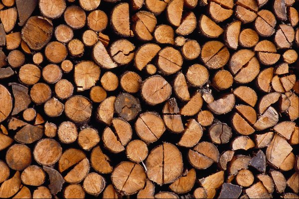 593013 Woodpile A4 Photo Print