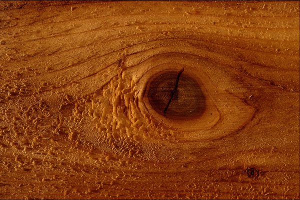 593020 Plank Of Wood, Close up A4 Photo Print
