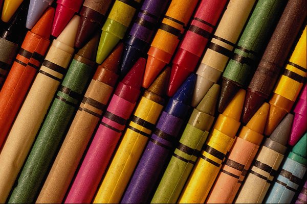 593029 Crayons A4 Photo Print