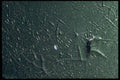 593032 Spider Web Pattern Of Cracked Paint A4 Photo Print