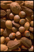 593033 Mixed Nuts In Shells A4 Photo Print