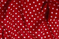 593036 White Polka Dots A4 Photo Print