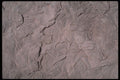 593047 Gray Stone A4 Photo Print