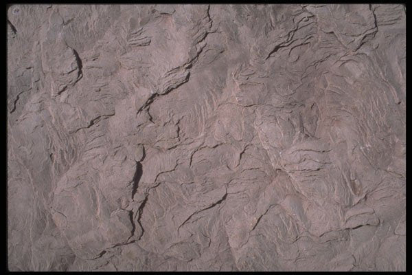 593047 Gray Stone A4 Photo Print