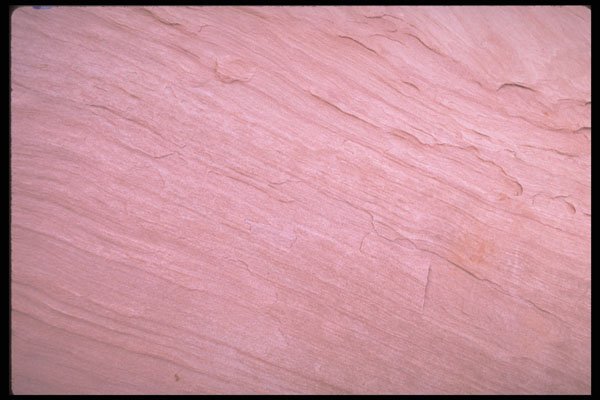 593051 Sedimental A4 Photo Print