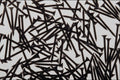 593066 Screws A4 Photo Print
