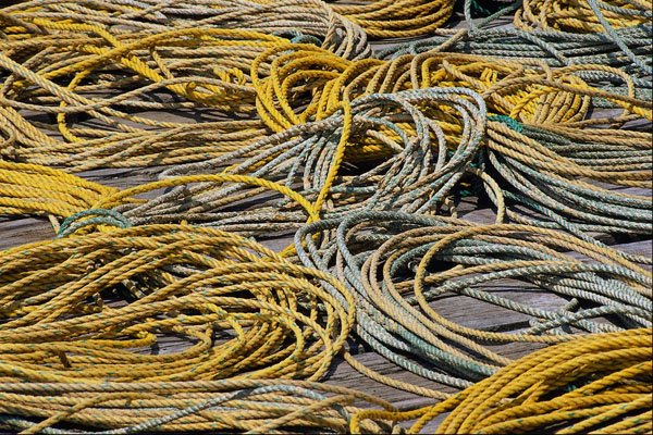 593072 Ropes A4 Photo Print