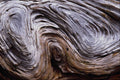 593075 Driftwood A4 Photo Print