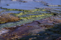 593086 456 Midway Geyser Basin, Yellowstone A4 Photo Print