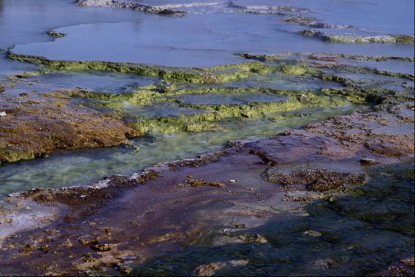 593086 456 Midway Geyser Basin, Yellowstone A4 Photo Print
