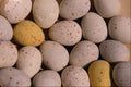 593091 Easter Eggs Background A4 Photo Print