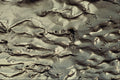 593097 Bottom Of Mud Flats In The North Sea, Germany A4 Photo Print