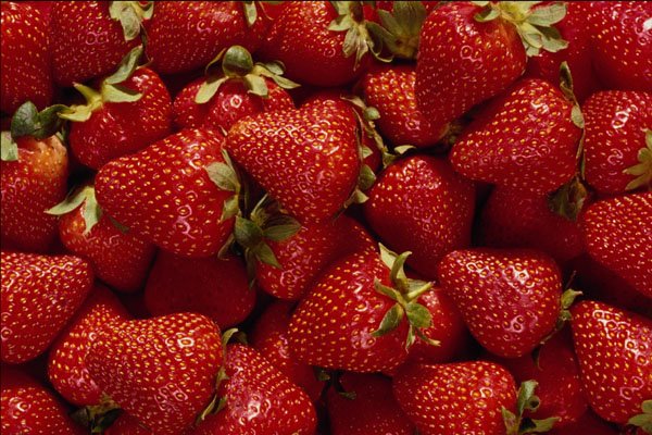 594007 Strawberries A4 Photo Print