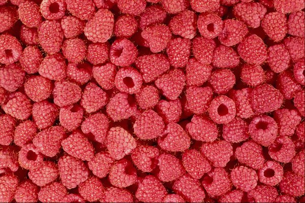 594015 Red Raspberries A4 Photo Print