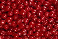 594016 Deep Red Cherries A4 Photo Print