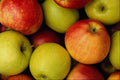 594033 Apples A4 Photo Print