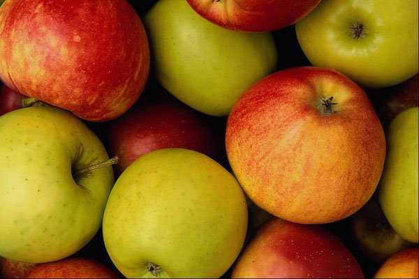 594033 Apples A4 Photo Print