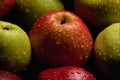 594034 Apples A4 Photo Print