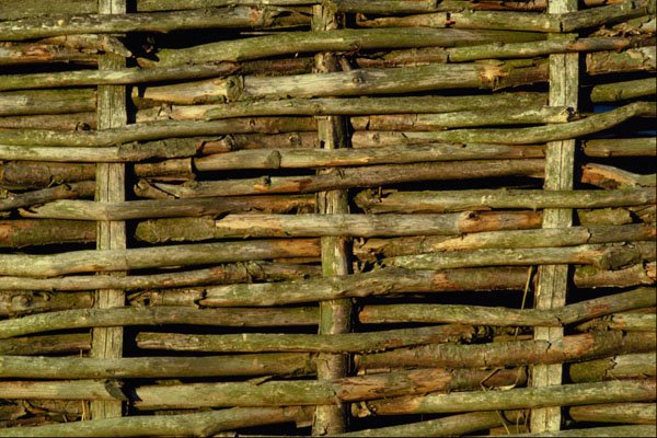 594037 Split Fence A4 Photo Print