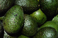 594042 Green Avocado A4 Photo Print