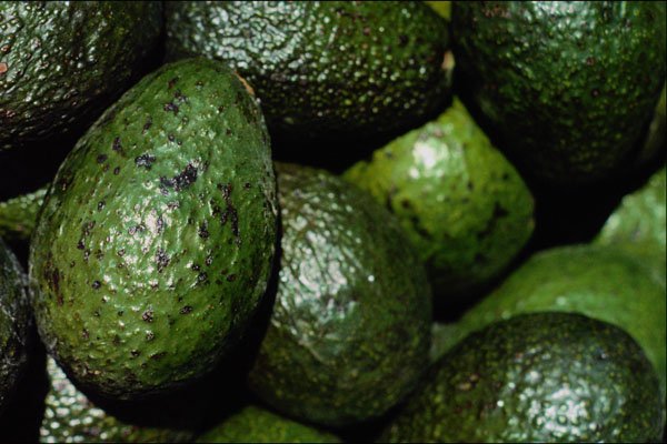 594042 Green Avocado A4 Photo Print
