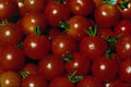 594044 Sweet Cherry Tomatoes A4 Photo Print
