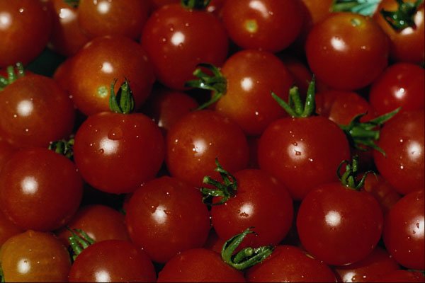 594044 Sweet Cherry Tomatoes A4 Photo Print