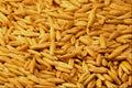 594050 Oat Seed A4 Photo Print