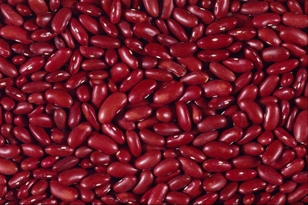 594058 Red Kidney Beans A4 Photo Print
