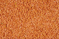 594059 Lentils A4 Photo Print