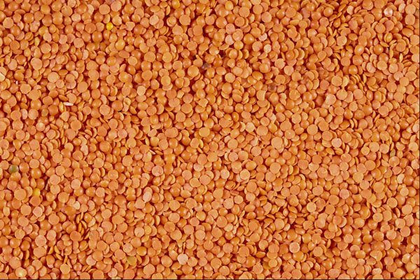 594059 Lentils A4 Photo Print