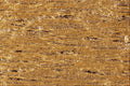594068 Gold Satin A4 Photo Print