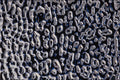 594080 Liquid Silver A4 Photo Print