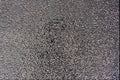 594081 Embossed Silver A4 Photo Print