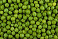 594085 Green Peas A4 Photo Print