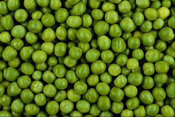 594085 Green Peas A4 Photo Print