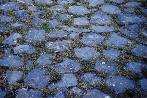 594091 Paved Stone With Grass A4 Photo Print
