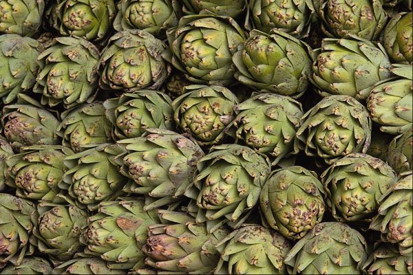 594095 Artichokes A4 Photo Print