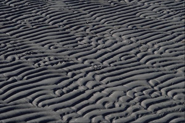 594098 Sand Ripples A4 Photo Print
